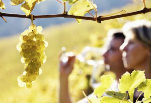 Wine Country Getaway Package