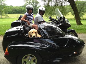 gus in sidecar
