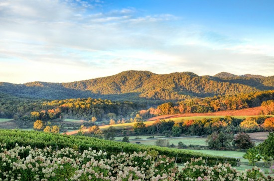 Virginia Wine Country