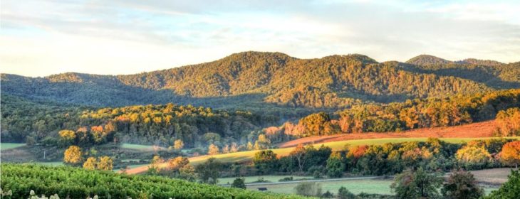 Virginia Wine Country
